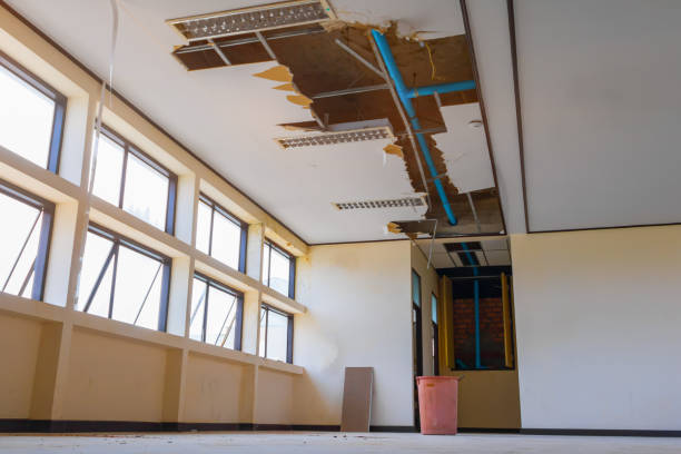 Best Flood damage cleanup  in Lorane, PA