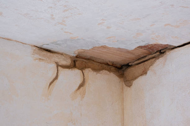 Best Water damage restoration near me  in Lorane, PA