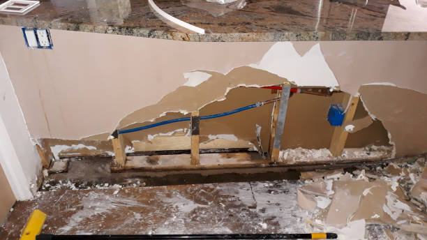 Best Water damage cleanup near me  in Lorane, PA