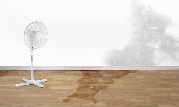 Best Water damage cleanup near me  in Lorane, PA