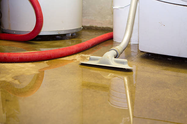 Best Sewage cleanup and water damage restoration  in Lorane, PA