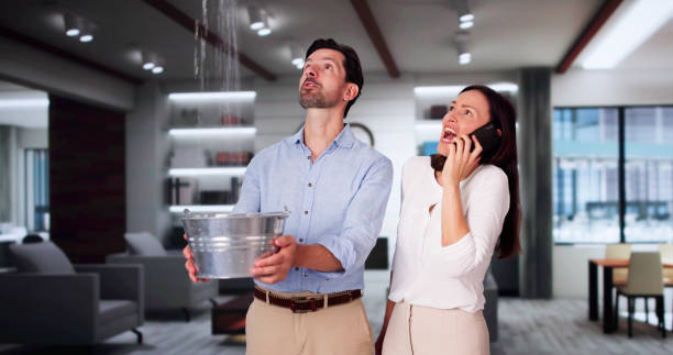 Best Flood restoration services  in Lorane, PA