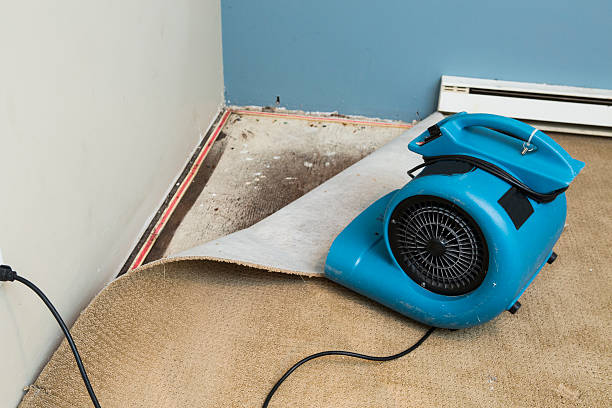 Best Water damage restoration process  in Lorane, PA